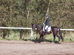 IMG_7800_web